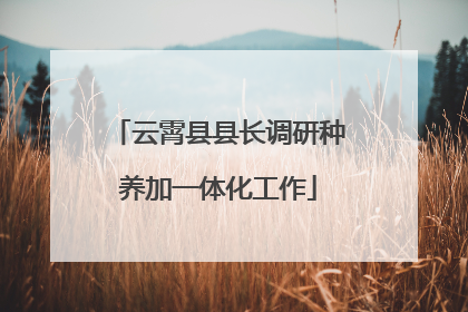 云霄县县长调研种养加一体化工作